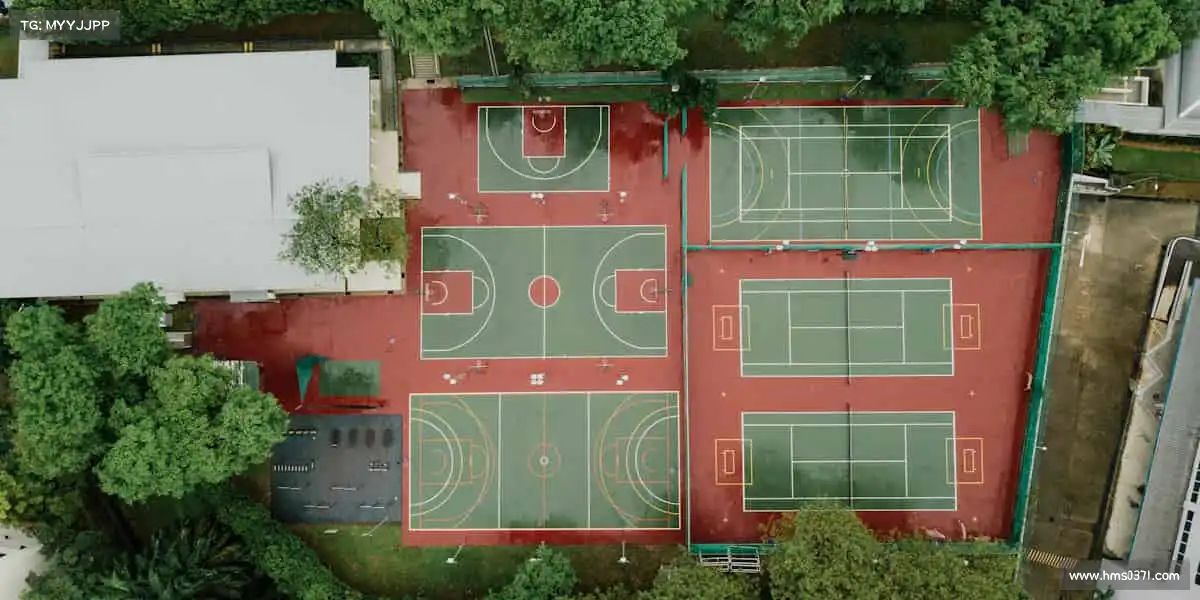 <strong>加拿大28</strong>🏓小球转动大世界，拼搏精神永不褪色！